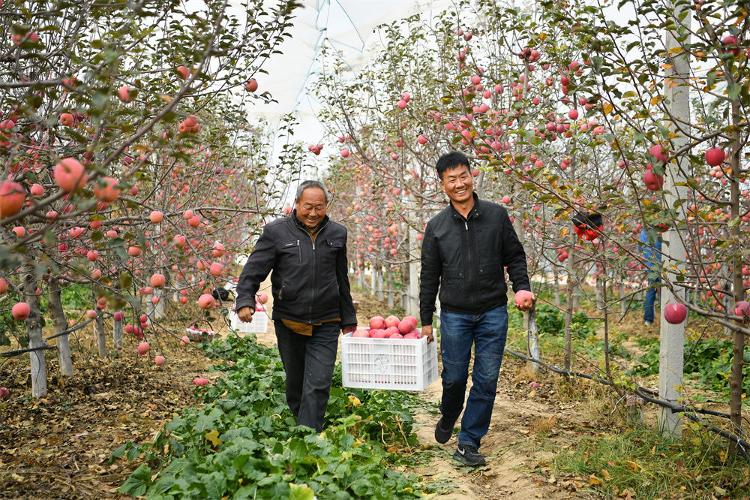 奔赴充满光荣和梦想的远征——以习近平同志为核心的党中央引领亿万人民踏上新征程述评