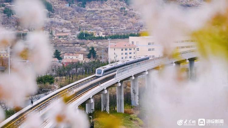 青岛，一座“轨道上的旅游城市”