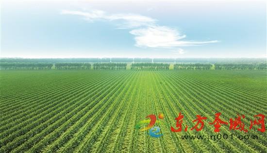 探寻粮食安全“济宁路径”