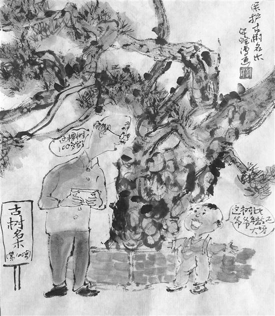 华峰漫画 | 保护古树名木