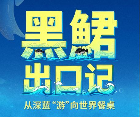 青春华章 向海图强丨黑鮶出口记：从深蓝“游”向世界餐桌