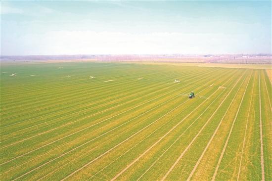 春到田间 农事倍忙
