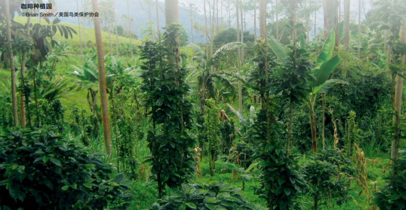【智惠农民】警惕！农业生物多样性正在消失