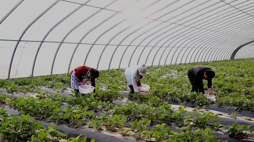 binary_middle (4).jpg