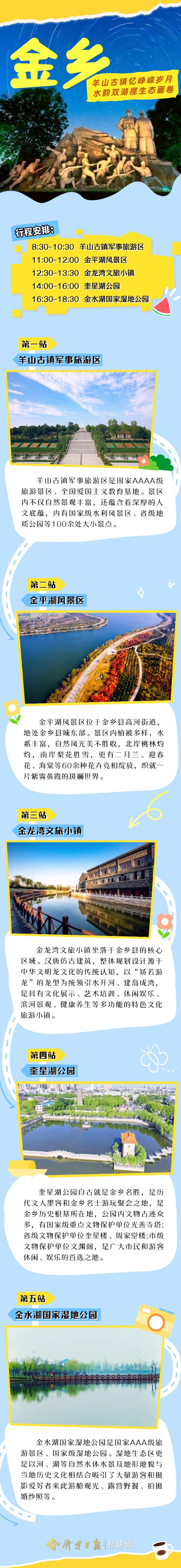 金乡定.jpg