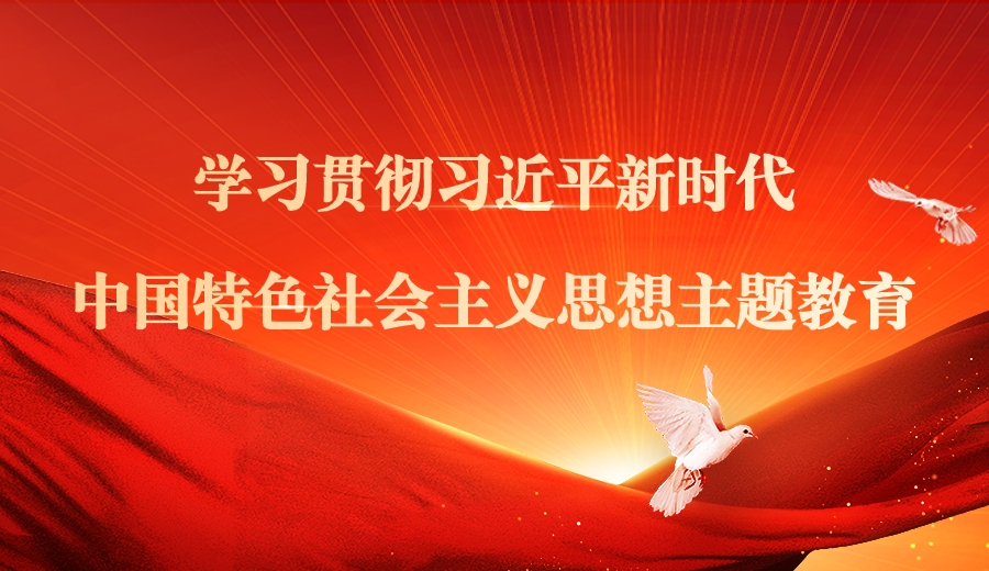 学习贯彻习近平新时代中国特色社会主义思想主题教育