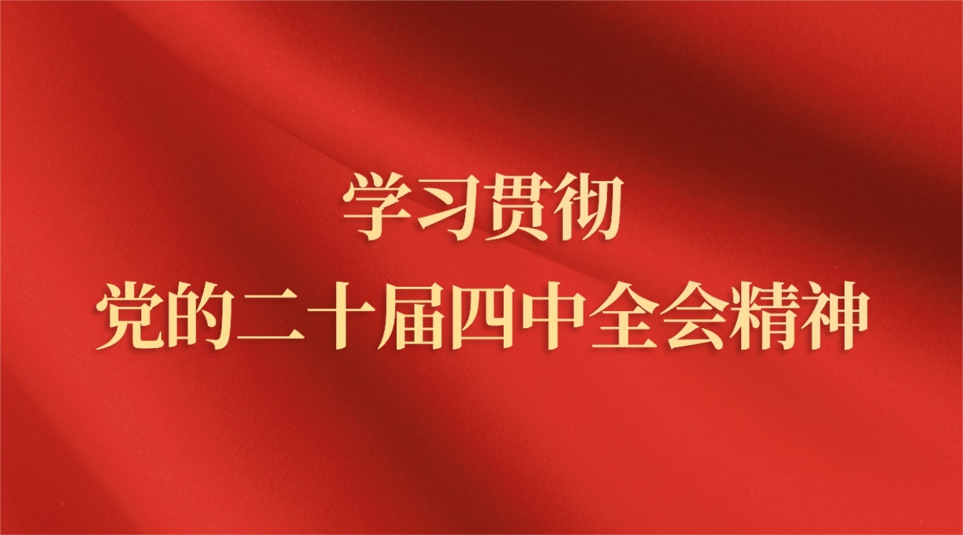 学习贯彻党的二十届四中全会精神