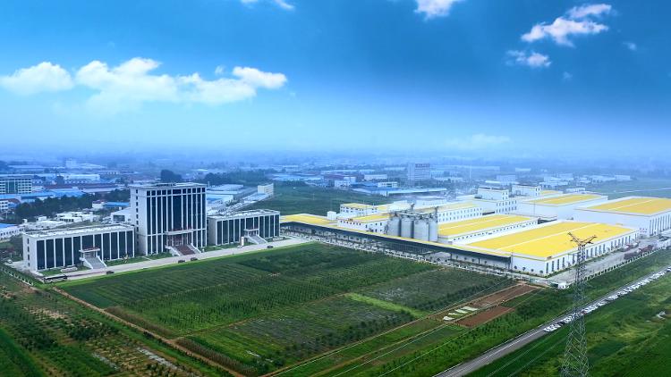 临沂将“工业强市”作为主战场，以“十强产业”为重要抓手，产业结构不断优化，发展动力持续增强。图为金胜花生科技产业园。□记者 杜辉升 通讯员 赵桂星 报道