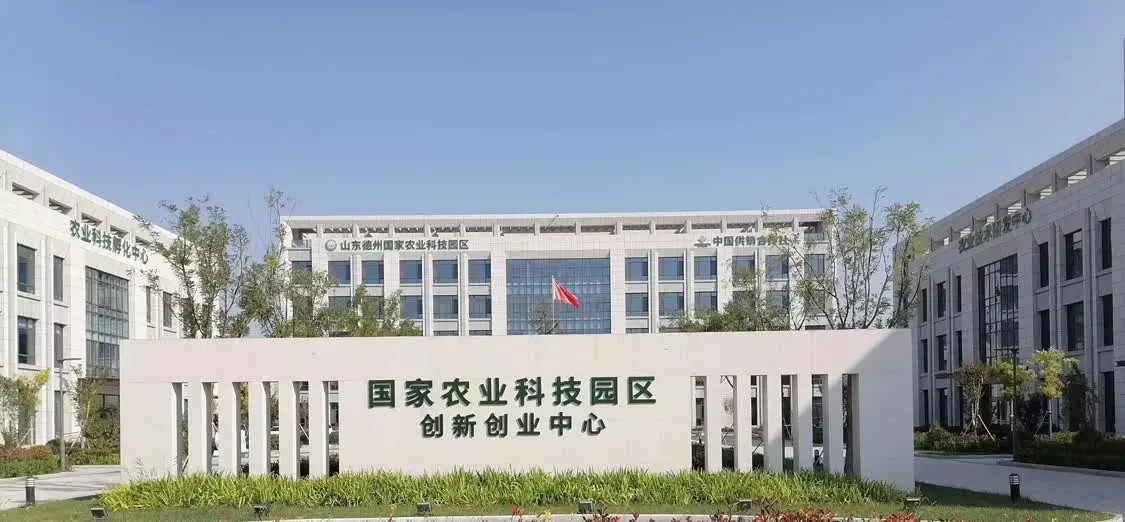 乐陵创新“走在前”，“甜蜜”产业引领“食品名市”建设