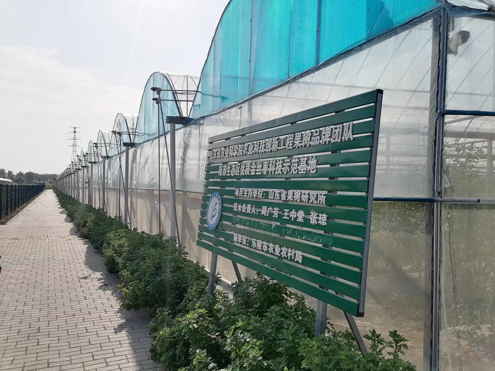 乐陵创新“走在前”，“甜蜜”产业引领“食品名市”建设