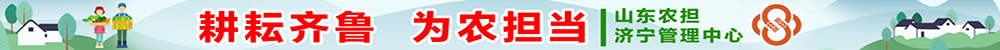 通栏第2条  山东农担通栏