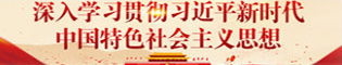4-2深入学习贯彻习近平新时代中国特色社会主义思想（三拼第1行1）