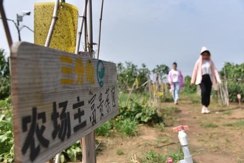 双击查看大图