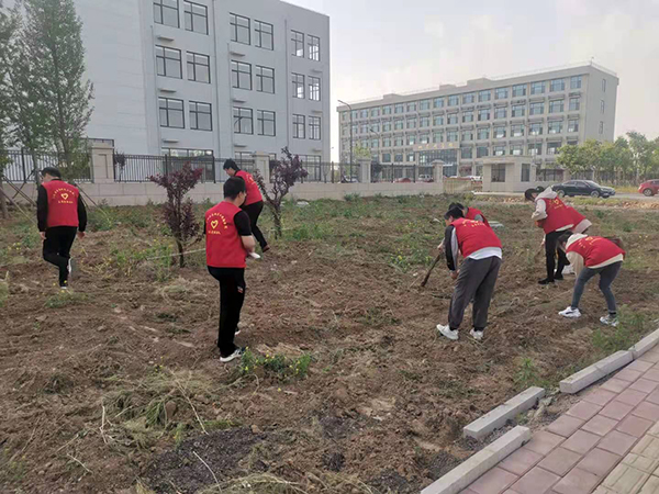 网页3.jpg
