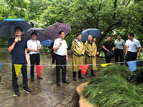 网页3.jpg