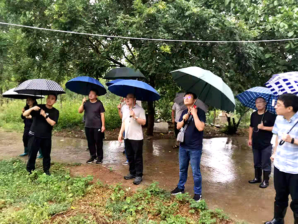 网页2.jpg