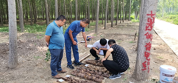 网页.jpg