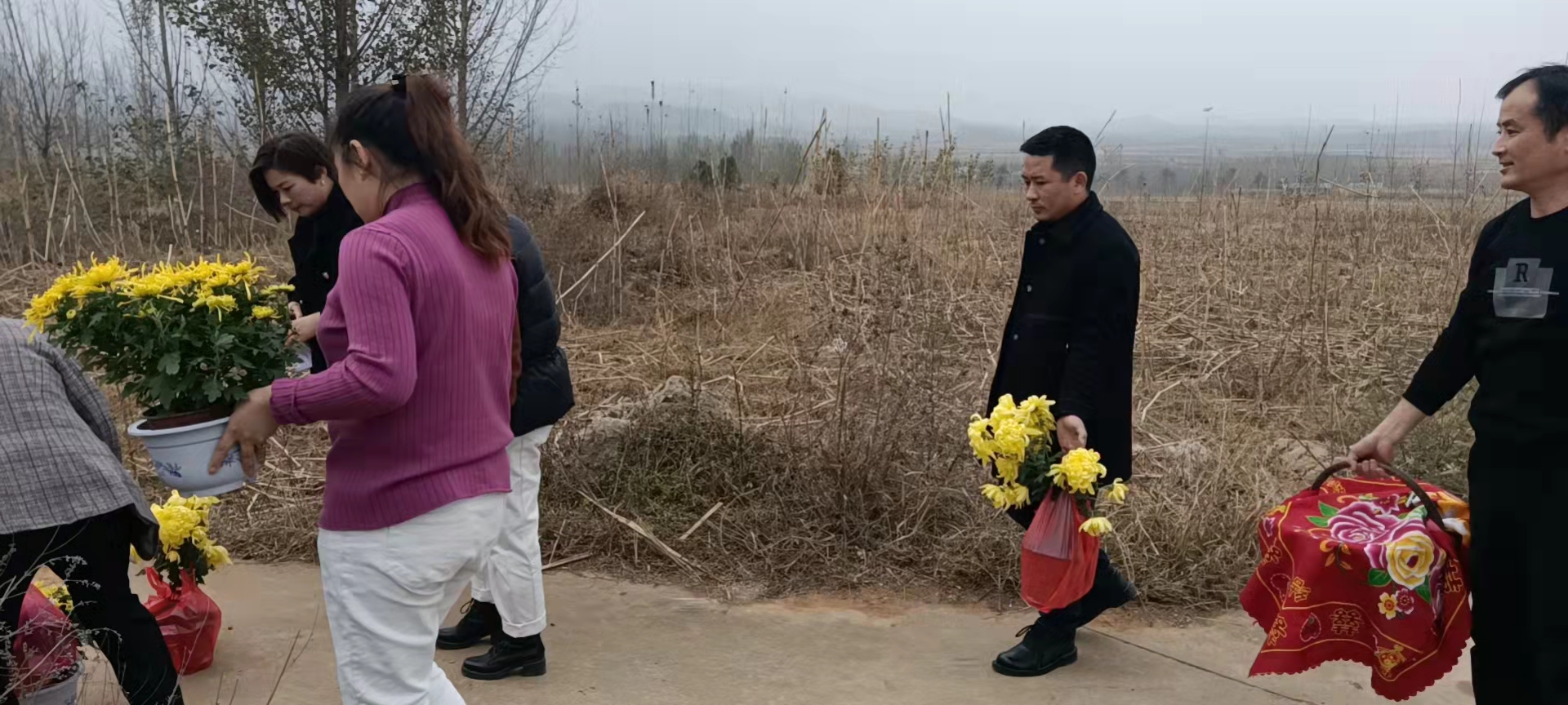 微信图片_20211106143223.jpg