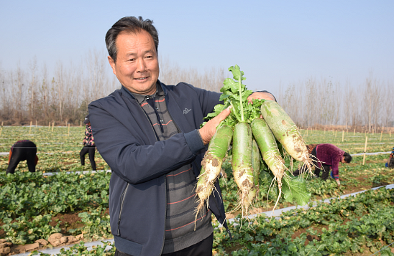 图片5_conew1.png