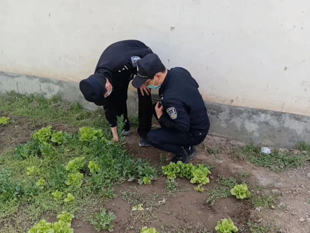 三孔派出所深入景区开展禁种铲毒踏查行动.jpg
