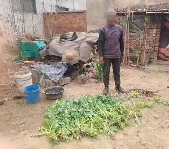 王庄派出所查处三名非法种植罂粟人员.jpg