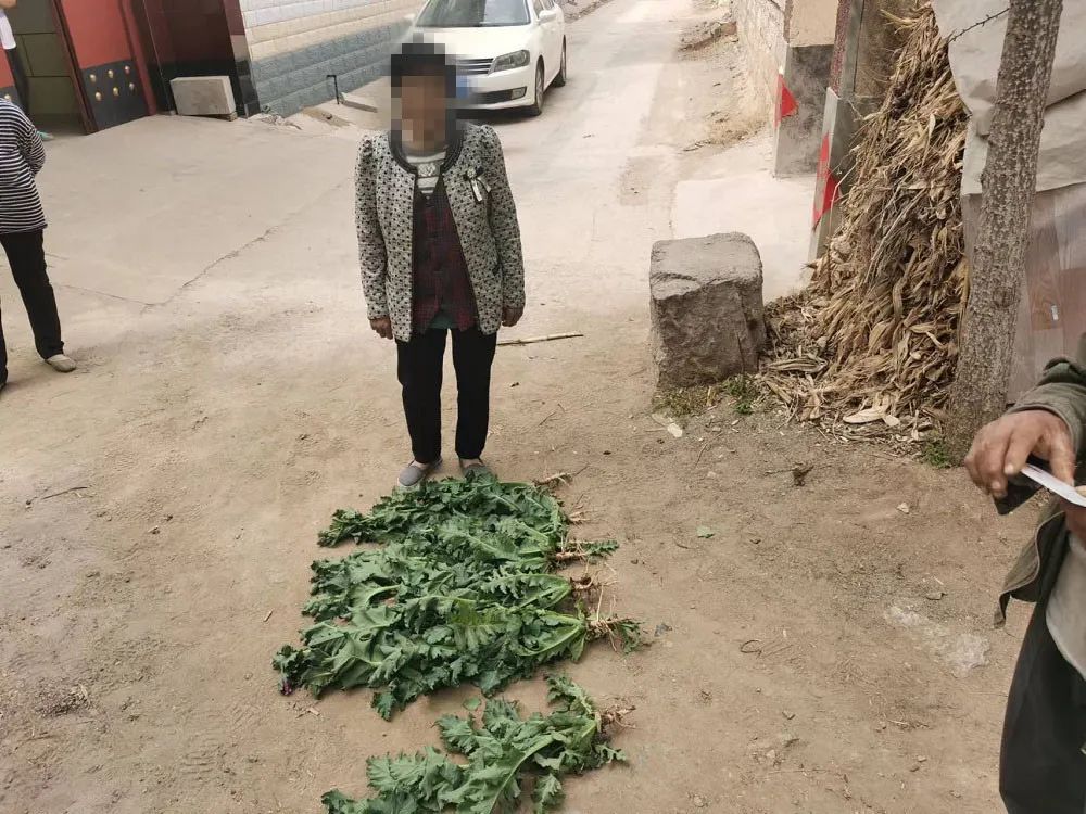 禁毒大队会同息陬派出所查处一非法种植罂粟人员.jpg