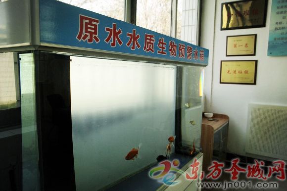 市民担忧饮水安全 谁来拯救我们的水源地？